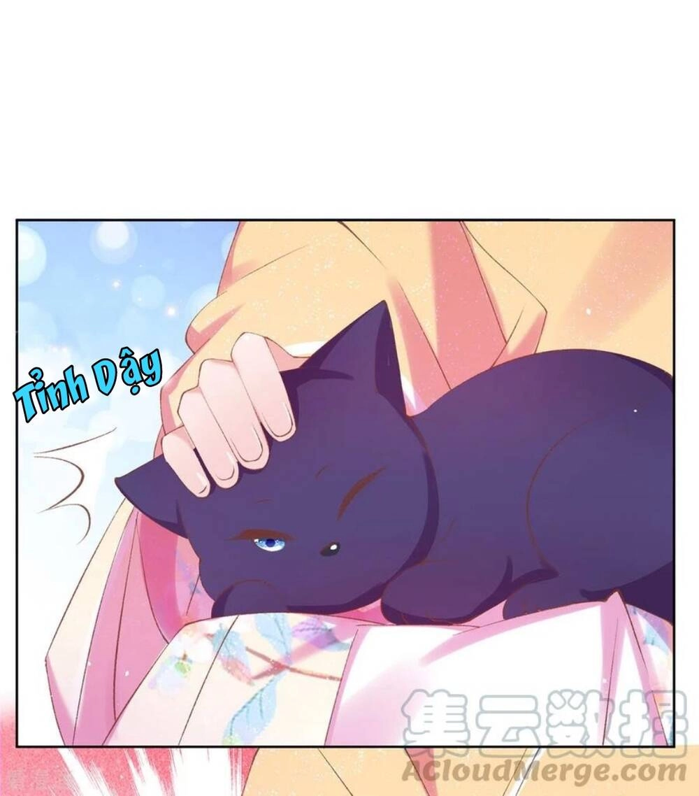 Thị Huyết Y Phi Chapter 114 - 7