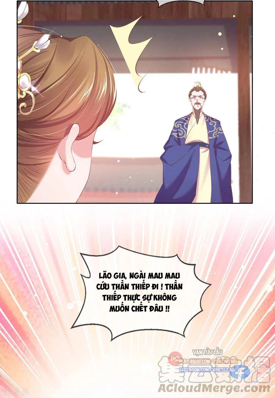 Thị Huyết Y Phi Chapter 120 - 13