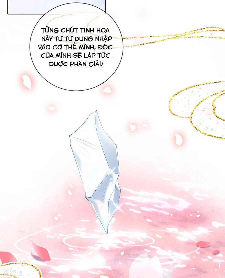 Thị Huyết Y Phi Chapter 123 - 17