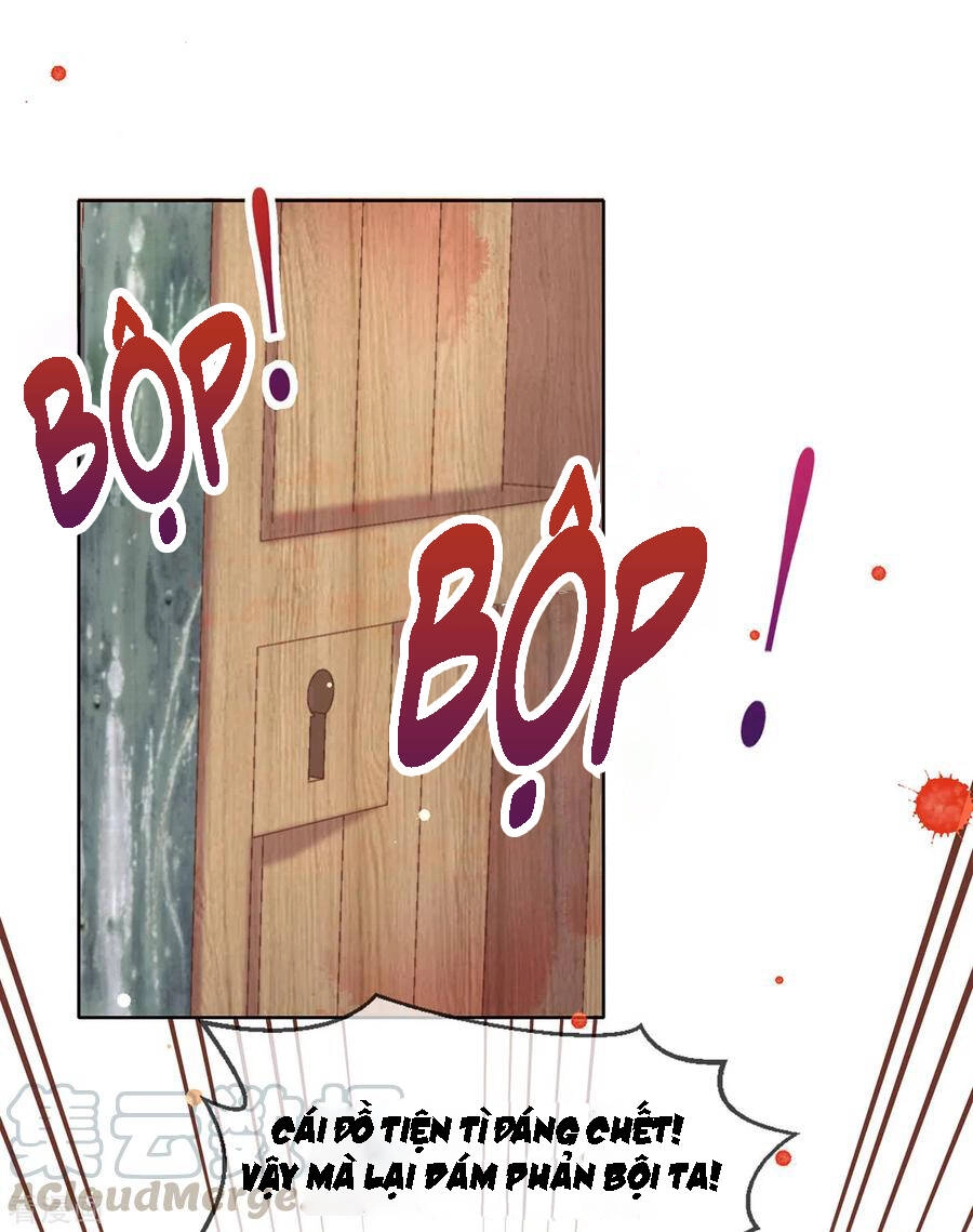 Thị Huyết Y Phi Chapter 123 - 26