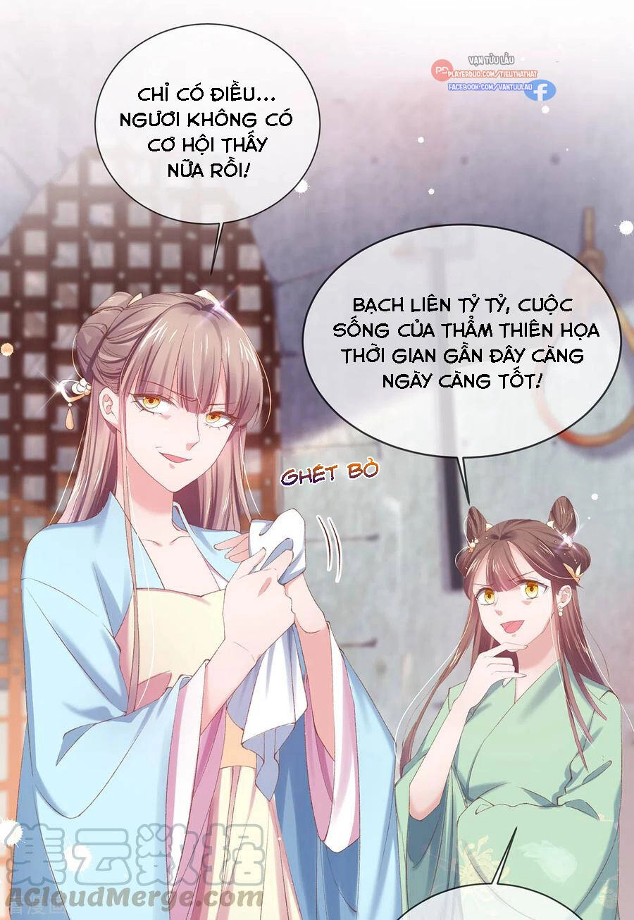 Thị Huyết Y Phi Chapter 123 - 34