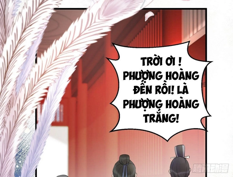 Lễ Băng Nhạc Phôi Chi Dạ Chapter 2 - 26