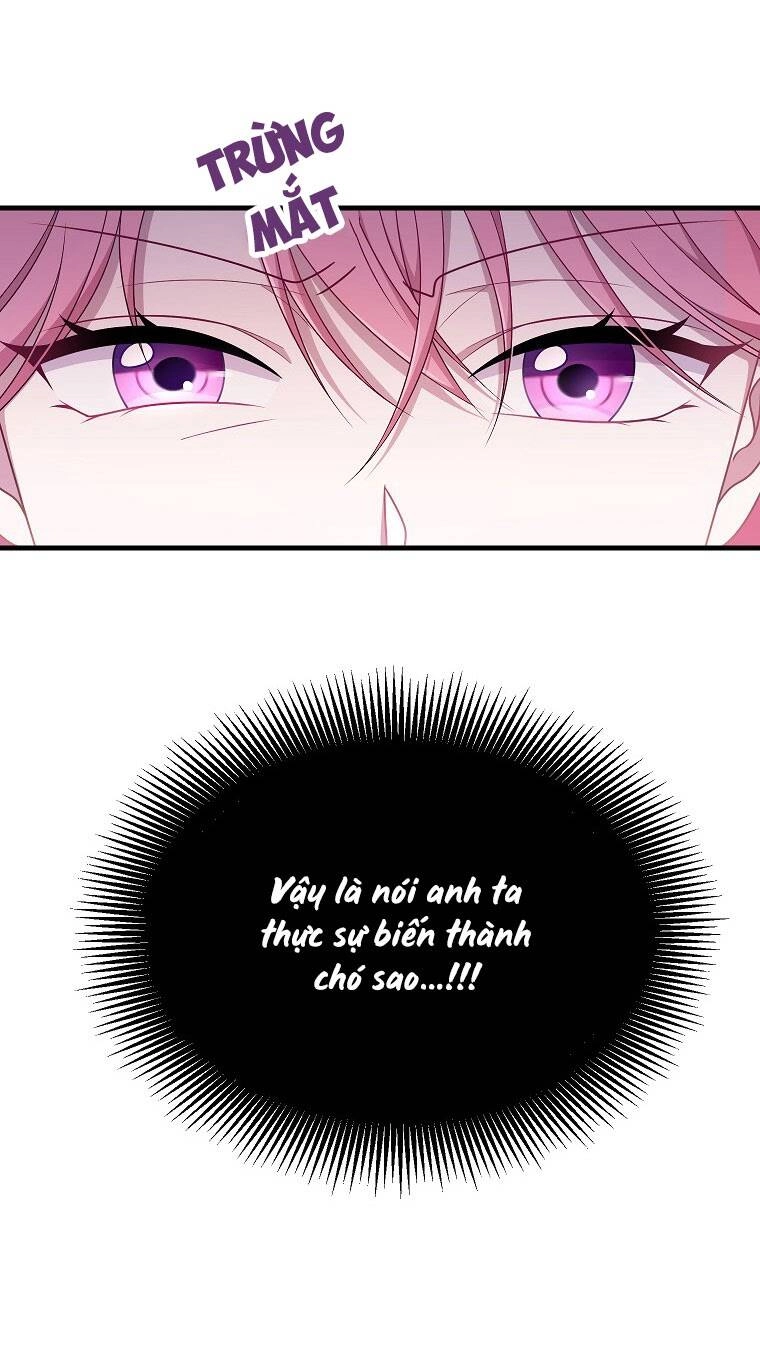 Tôi Đã Gặp Nam Chính Ở Trong Tù Chapter 1 - 73