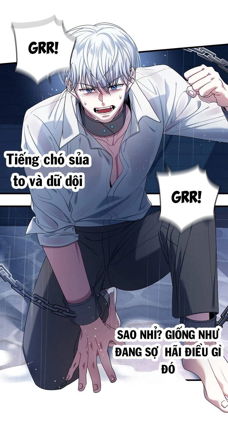 Tôi Đã Gặp Nam Chính Ở Trong Tù Chapter 4 - 52