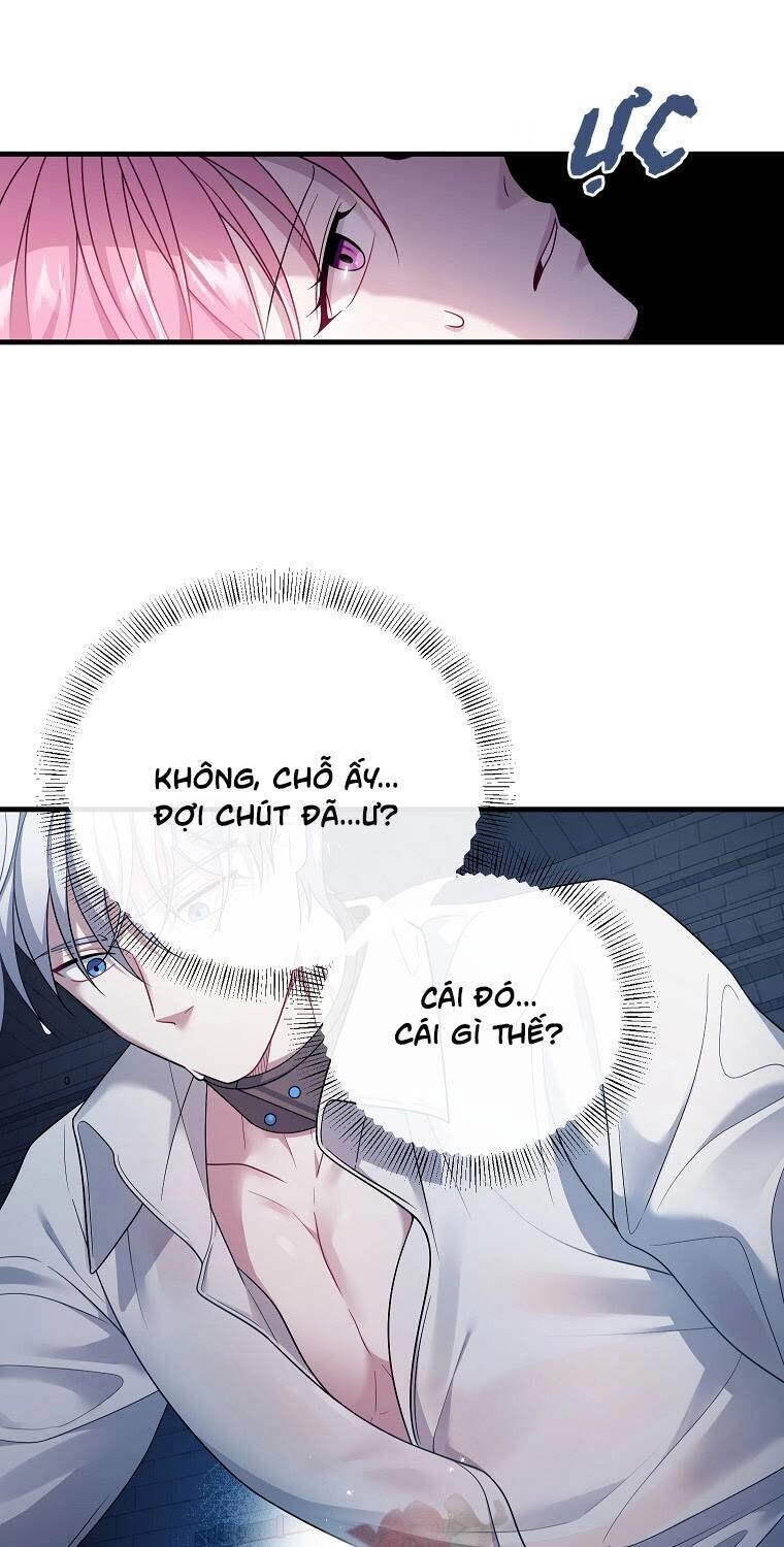 Tôi Đã Gặp Nam Chính Ở Trong Tù Chapter 5 - 5