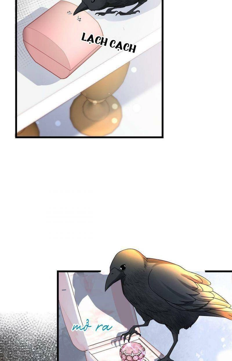 Không Thể Hòan Hảo Tuyệt Đối Chapter 11 - 35