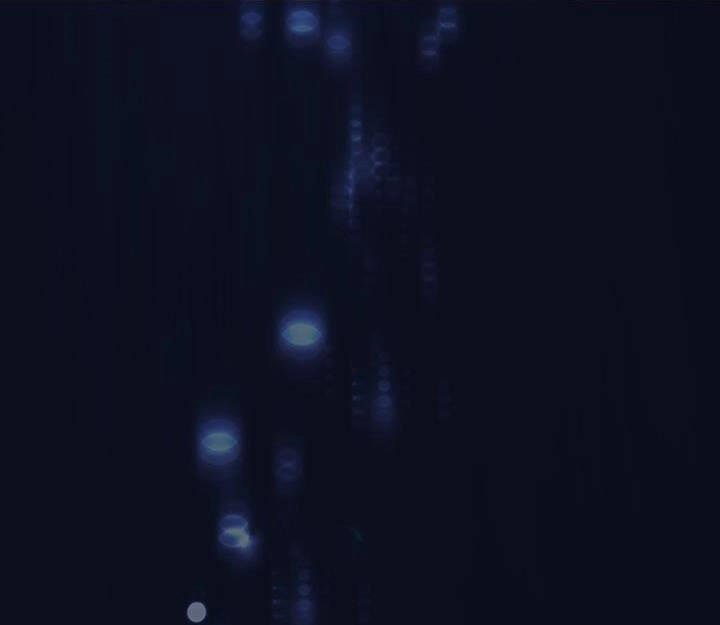 Ta Sẽ Nuôi Dạy Con Của Ngài Thật Tốt, Bệ Hạ! Chapter 47 - 67