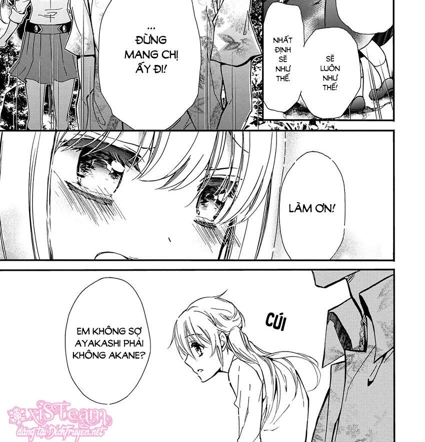 Hoàng Tử Vệ Thần Nhà Momochi Chapter 32 - 52