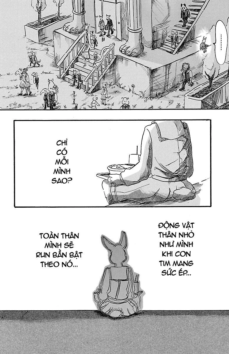 Bởi Vì Chúng Ta Đều Là Những Ngôi Sao Chapter 4 - 8