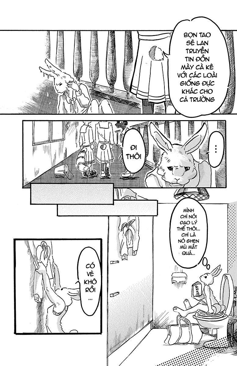 Bởi Vì Chúng Ta Đều Là Những Ngôi Sao Chapter 4 - 14