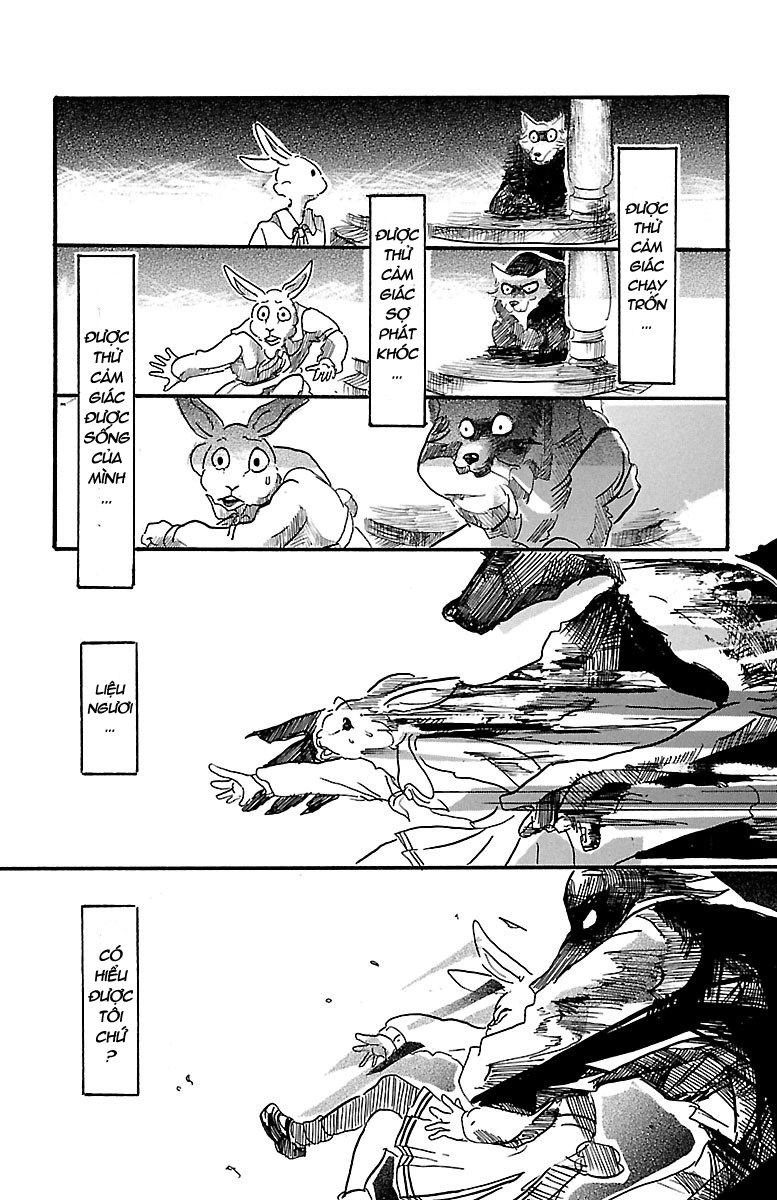 Bởi Vì Chúng Ta Đều Là Những Ngôi Sao Chapter 4 - 21