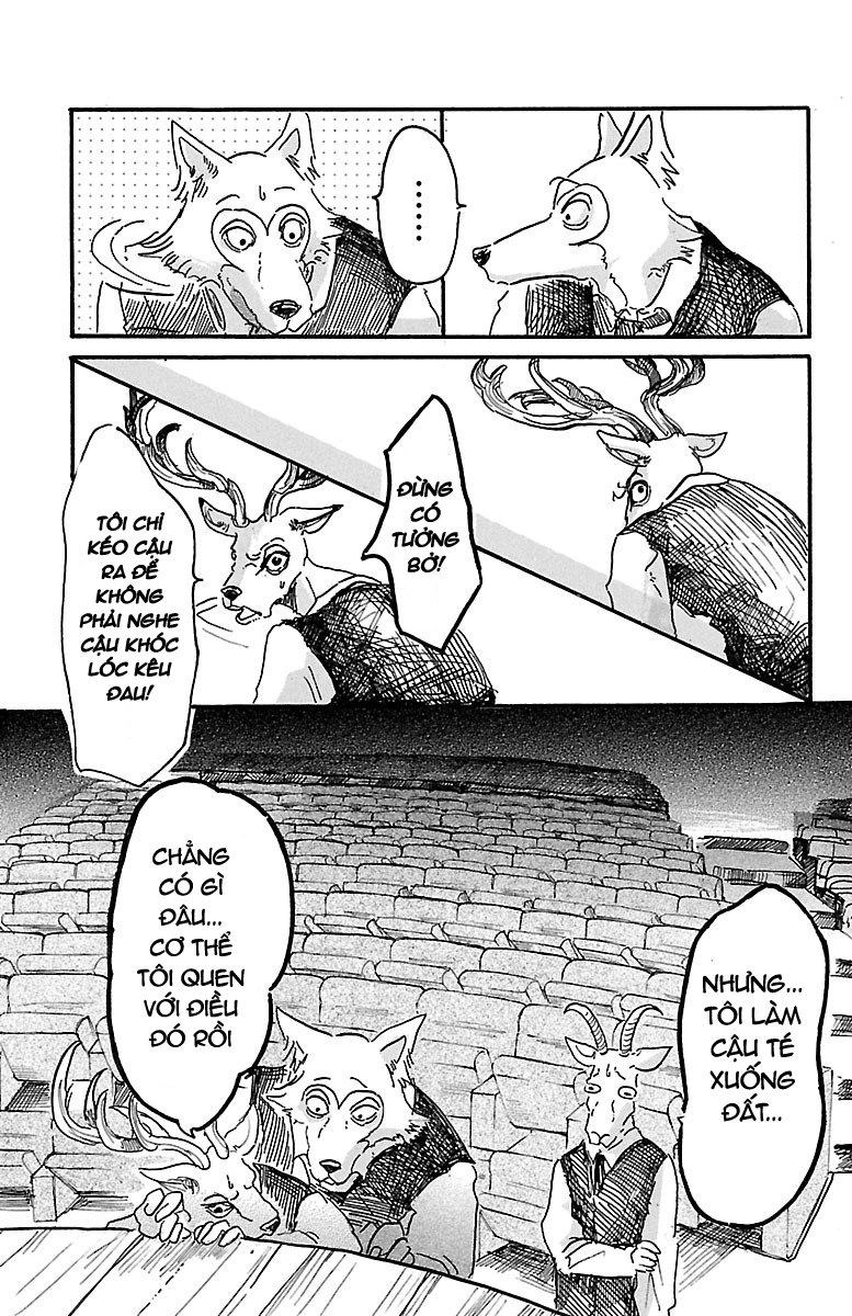 Bởi Vì Chúng Ta Đều Là Những Ngôi Sao Chapter 5 - 15