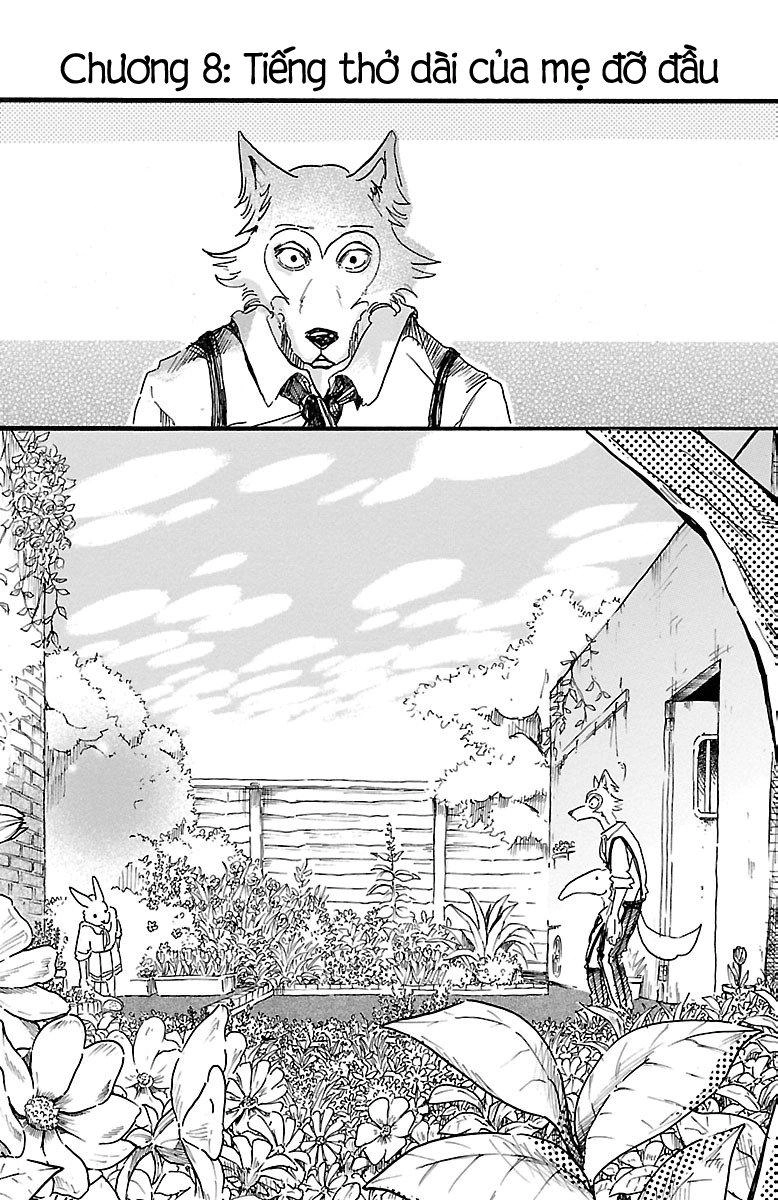 Bởi Vì Chúng Ta Đều Là Những Ngôi Sao Chapter 8 - 6