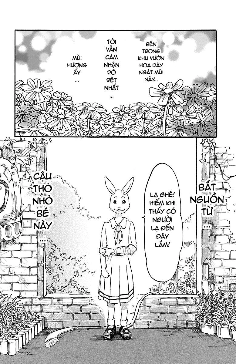 Bởi Vì Chúng Ta Đều Là Những Ngôi Sao Chapter 8 - 7