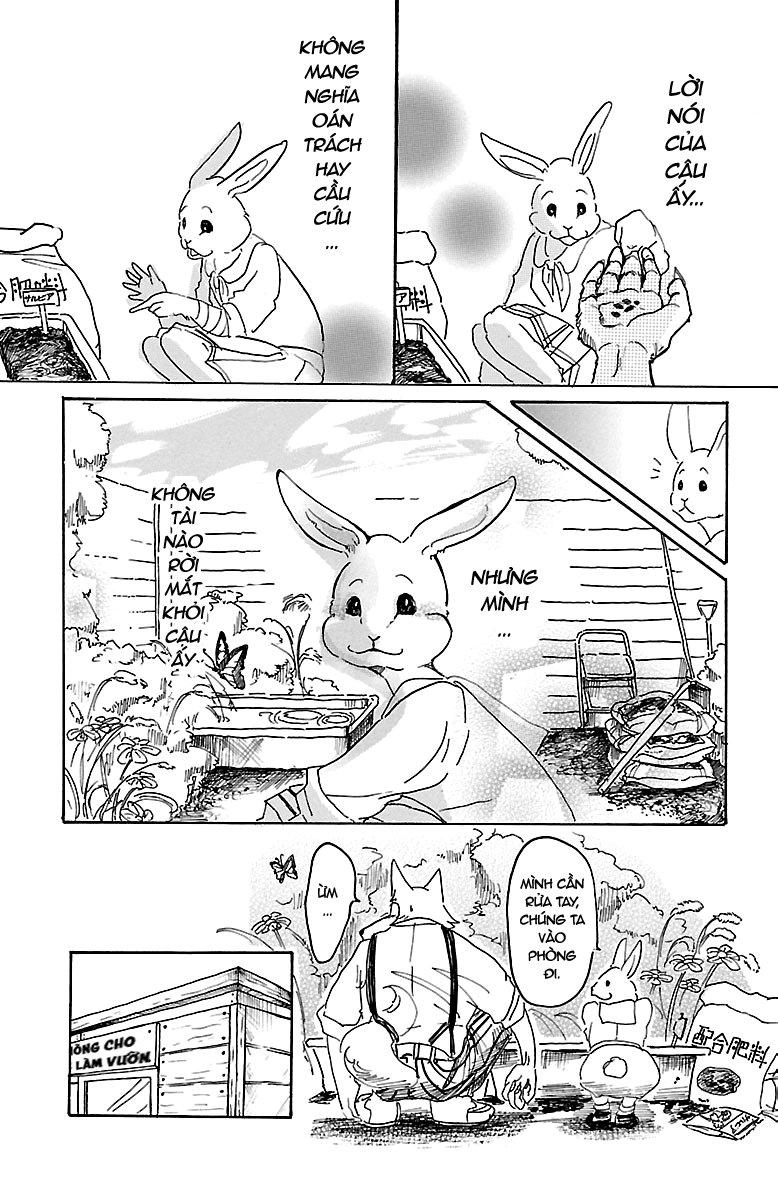 Bởi Vì Chúng Ta Đều Là Những Ngôi Sao Chapter 8 - 24