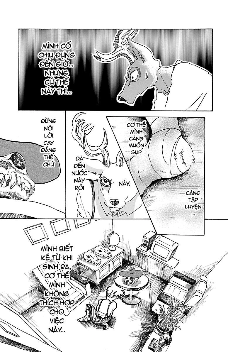 Bởi Vì Chúng Ta Đều Là Những Ngôi Sao Chapter 11 - 8