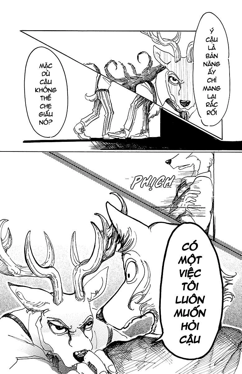 Bởi Vì Chúng Ta Đều Là Những Ngôi Sao Chapter 11 - 13