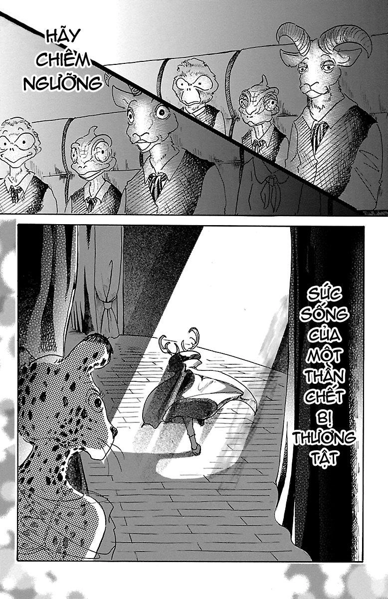 Bởi Vì Chúng Ta Đều Là Những Ngôi Sao Chapter 12 - 12