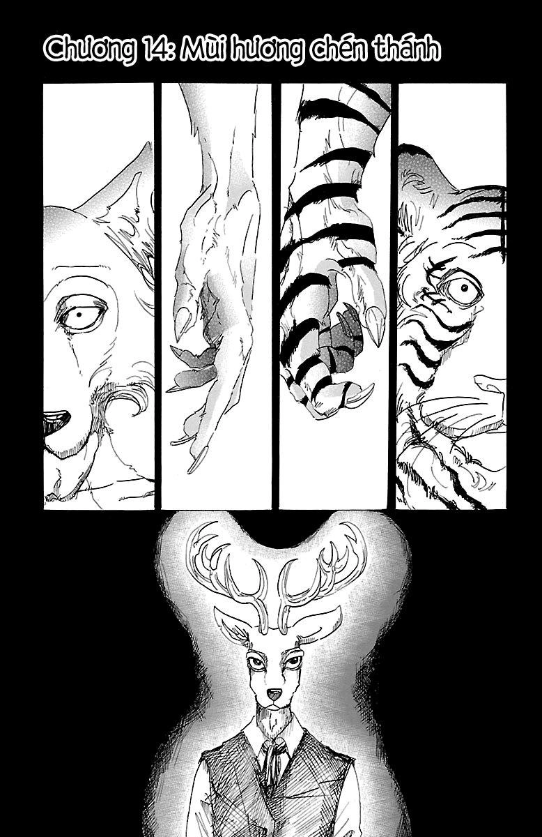 Bởi Vì Chúng Ta Đều Là Những Ngôi Sao Chapter 14 - 1