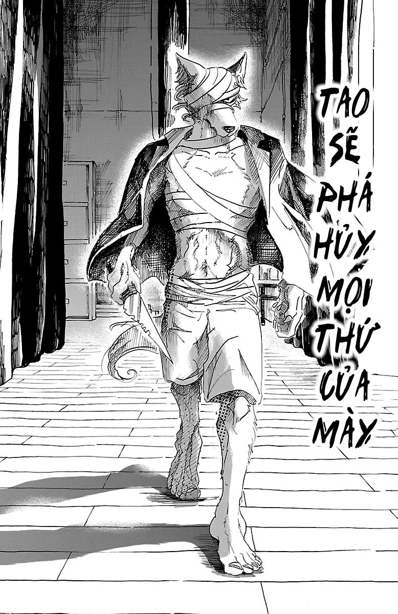 Bởi Vì Chúng Ta Đều Là Những Ngôi Sao Chapter 15 - 8