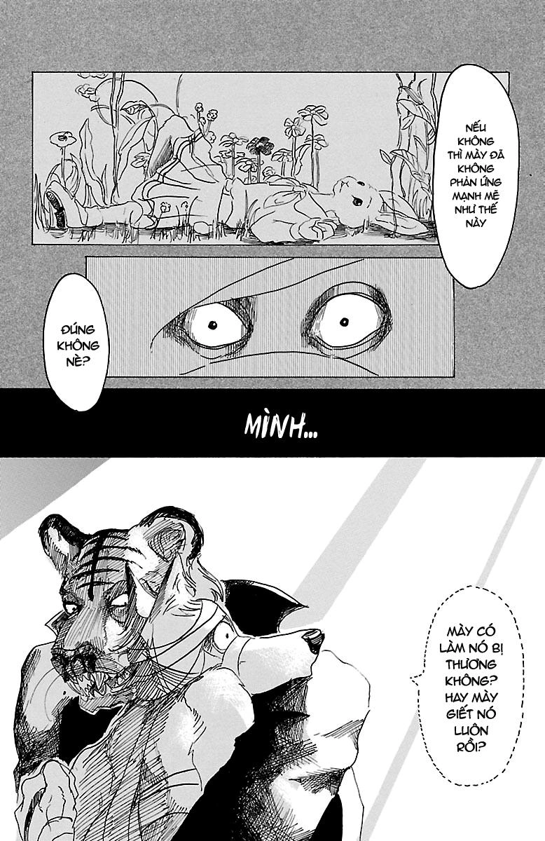 Bởi Vì Chúng Ta Đều Là Những Ngôi Sao Chapter 15 - 18