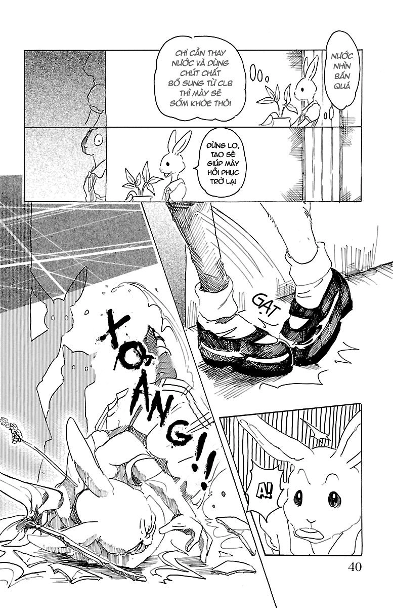 Bởi Vì Chúng Ta Đều Là Những Ngôi Sao Chapter 18 - 14