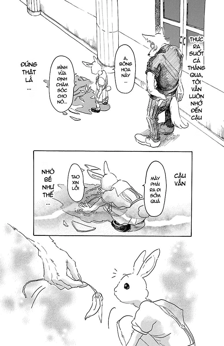 Bởi Vì Chúng Ta Đều Là Những Ngôi Sao Chapter 19 - 3