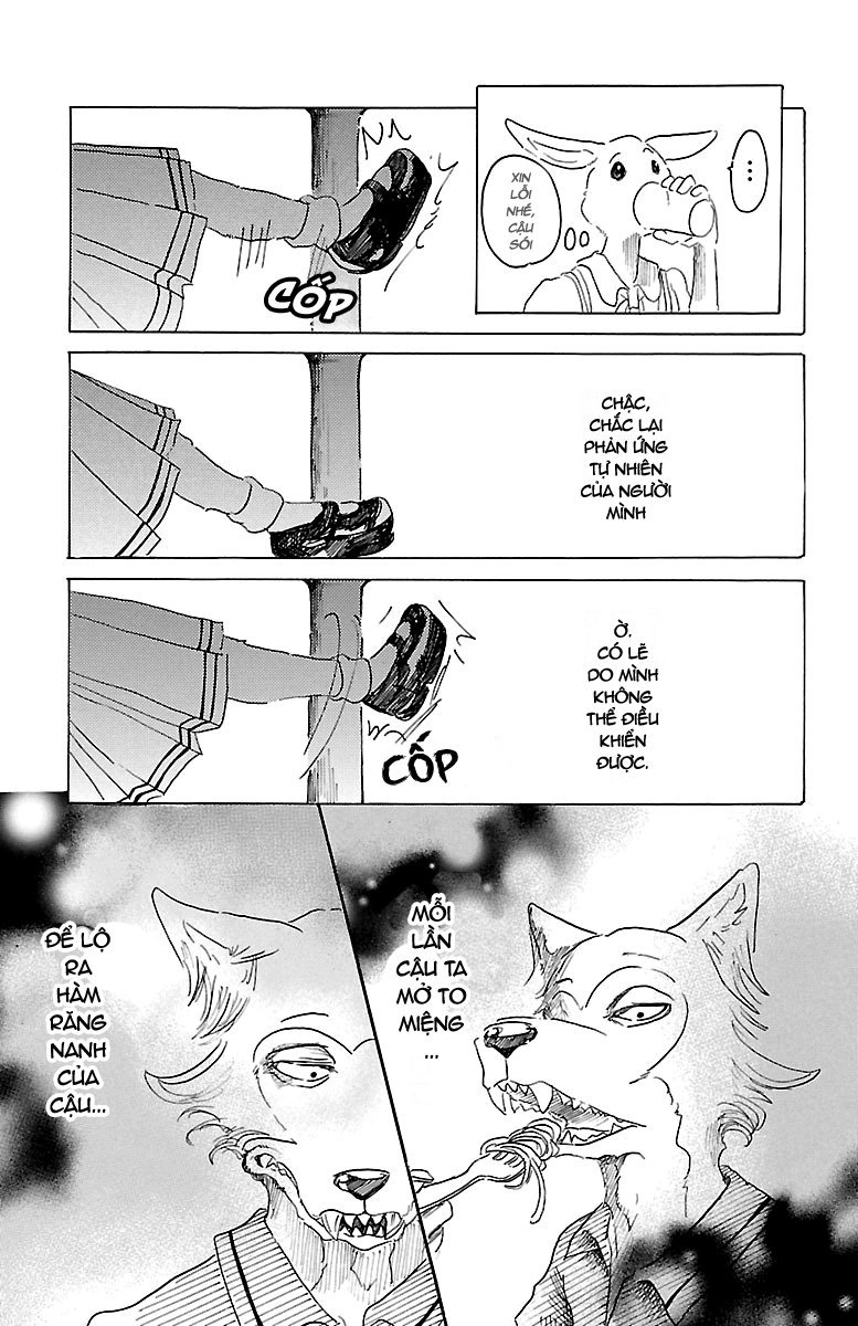 Bởi Vì Chúng Ta Đều Là Những Ngôi Sao Chapter 19 - 13