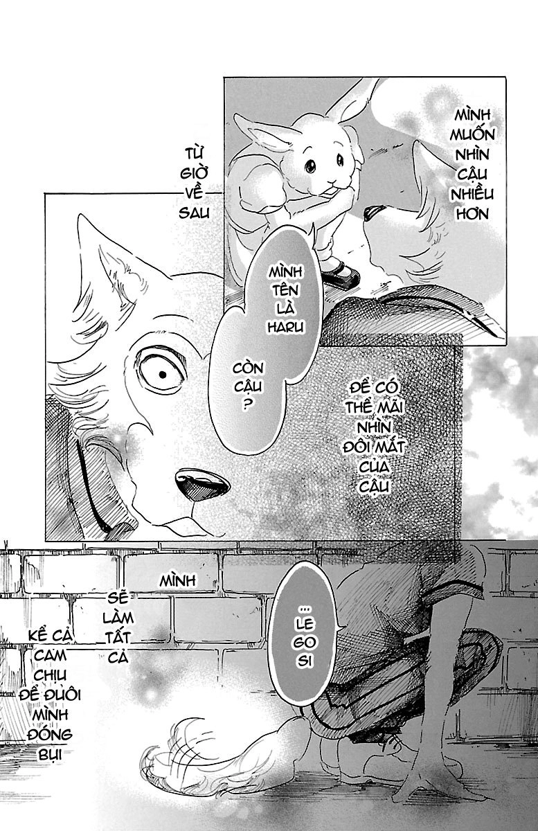 Bởi Vì Chúng Ta Đều Là Những Ngôi Sao Chapter 19 - 19