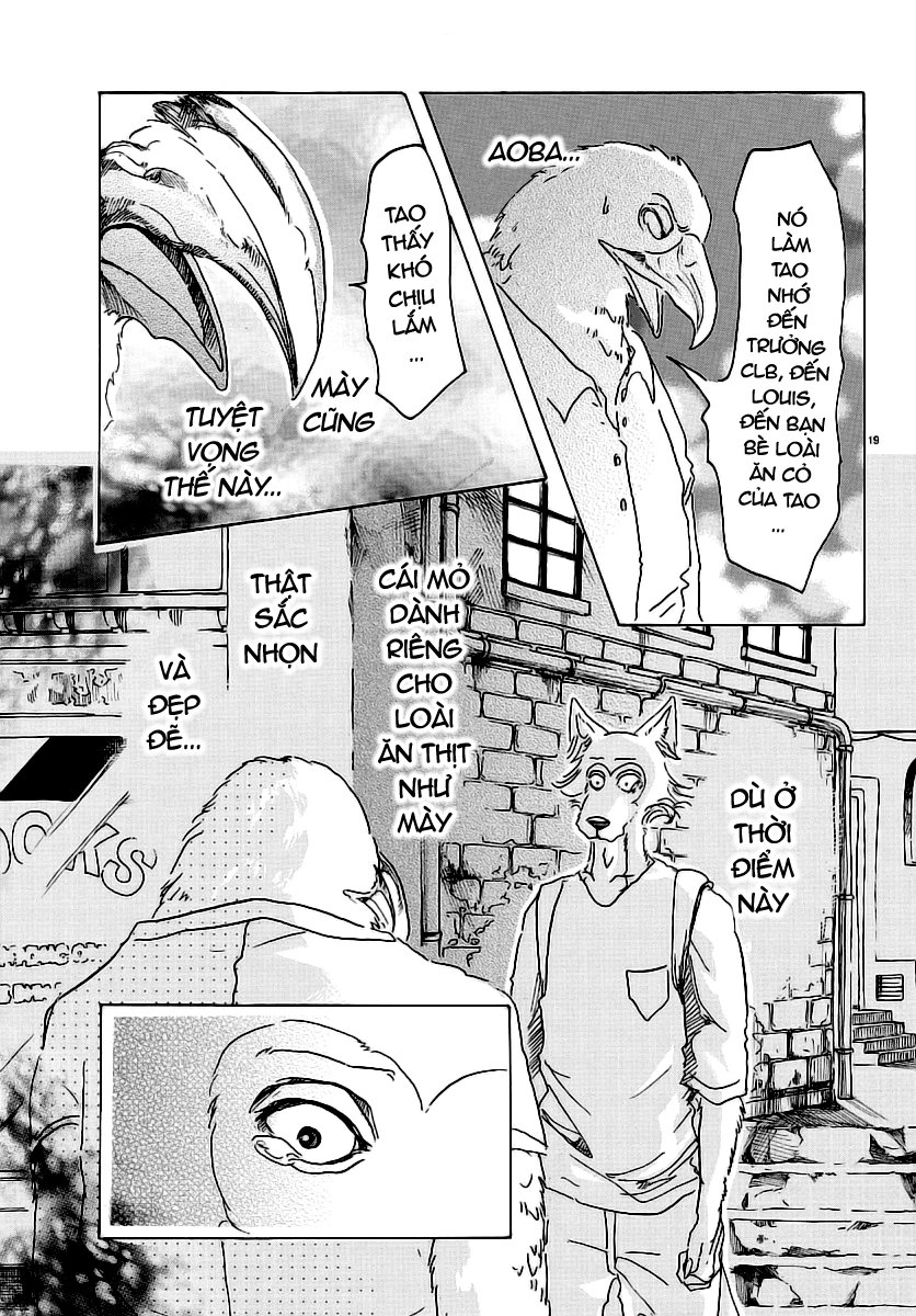 Bởi Vì Chúng Ta Đều Là Những Ngôi Sao Chapter 25 - 19