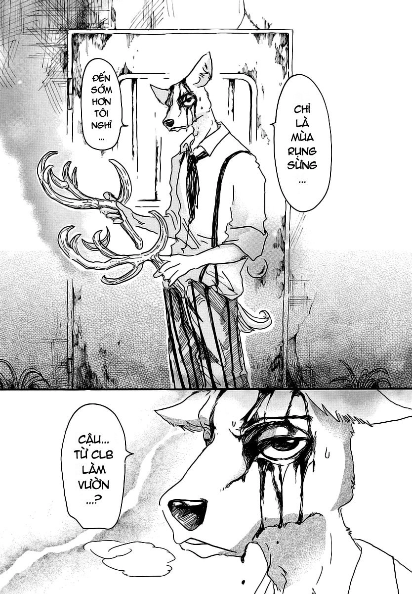 Bởi Vì Chúng Ta Đều Là Những Ngôi Sao Chapter 26 - 14