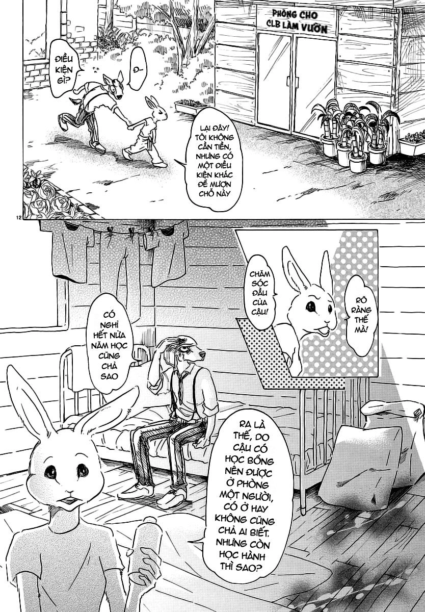 Bởi Vì Chúng Ta Đều Là Những Ngôi Sao Chapter 26 - 18