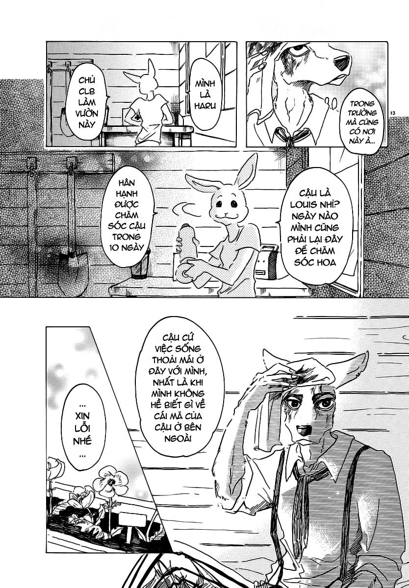 Bởi Vì Chúng Ta Đều Là Những Ngôi Sao Chapter 26 - 19