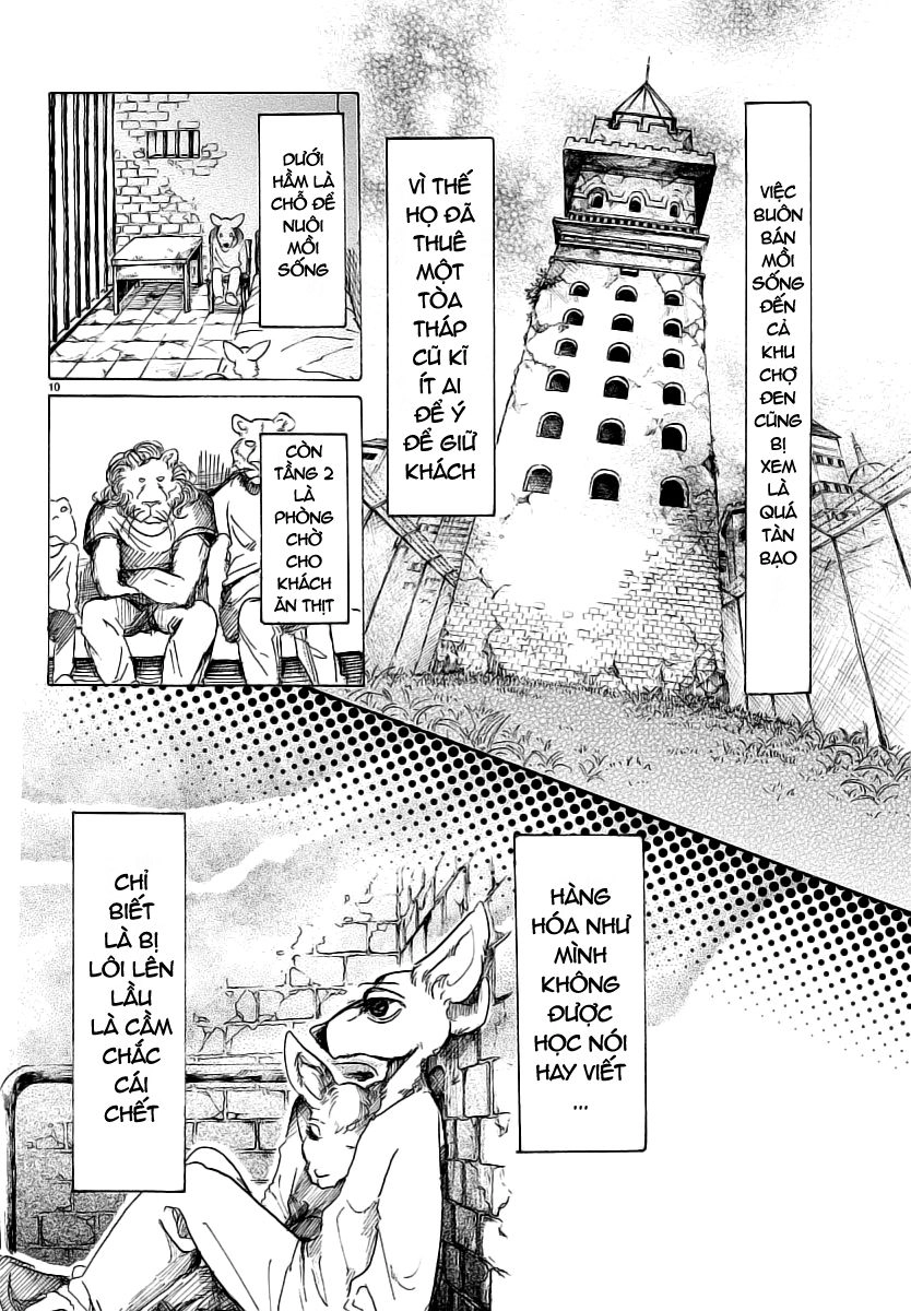 Bởi Vì Chúng Ta Đều Là Những Ngôi Sao Chapter 33 - 12