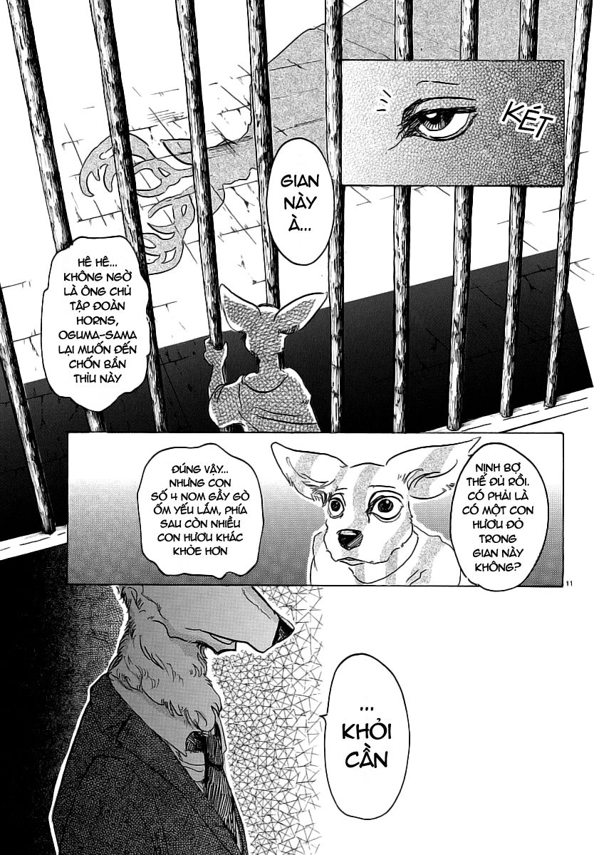 Bởi Vì Chúng Ta Đều Là Những Ngôi Sao Chapter 33 - 13