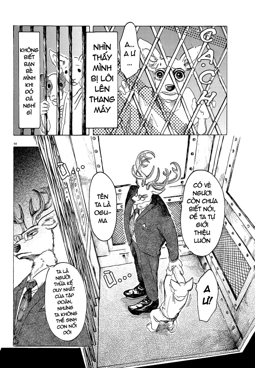 Bởi Vì Chúng Ta Đều Là Những Ngôi Sao Chapter 33 - 16