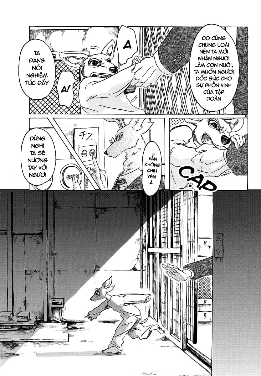 Bởi Vì Chúng Ta Đều Là Những Ngôi Sao Chapter 33 - 17