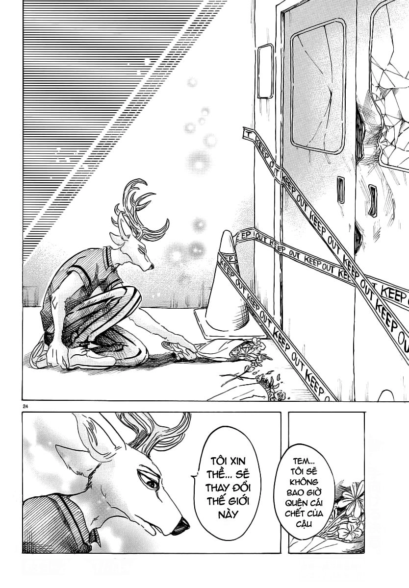 Bởi Vì Chúng Ta Đều Là Những Ngôi Sao Chapter 33 - 25