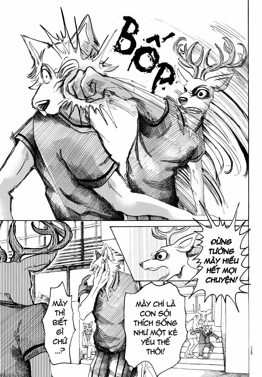 Bởi Vì Chúng Ta Đều Là Những Ngôi Sao Chapter 36 - 11