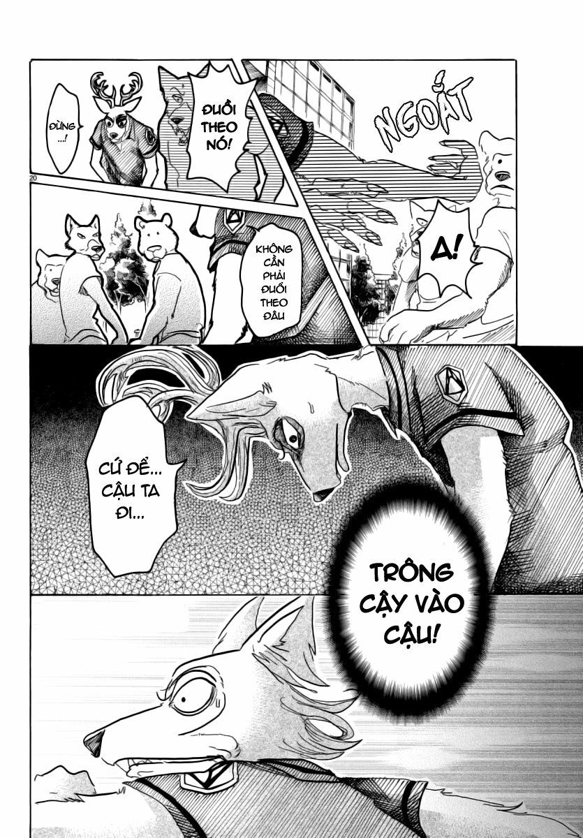 Bởi Vì Chúng Ta Đều Là Những Ngôi Sao Chapter 36 - 20