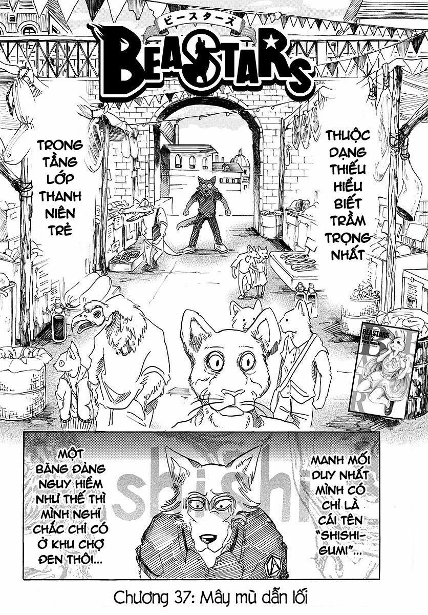 Bởi Vì Chúng Ta Đều Là Những Ngôi Sao Chapter 37 - 2