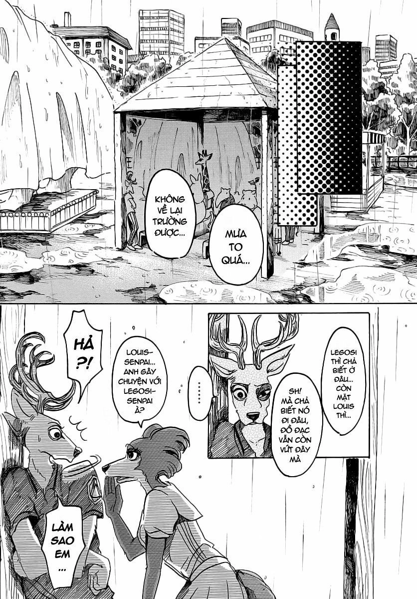 Bởi Vì Chúng Ta Đều Là Những Ngôi Sao Chapter 37 - 17