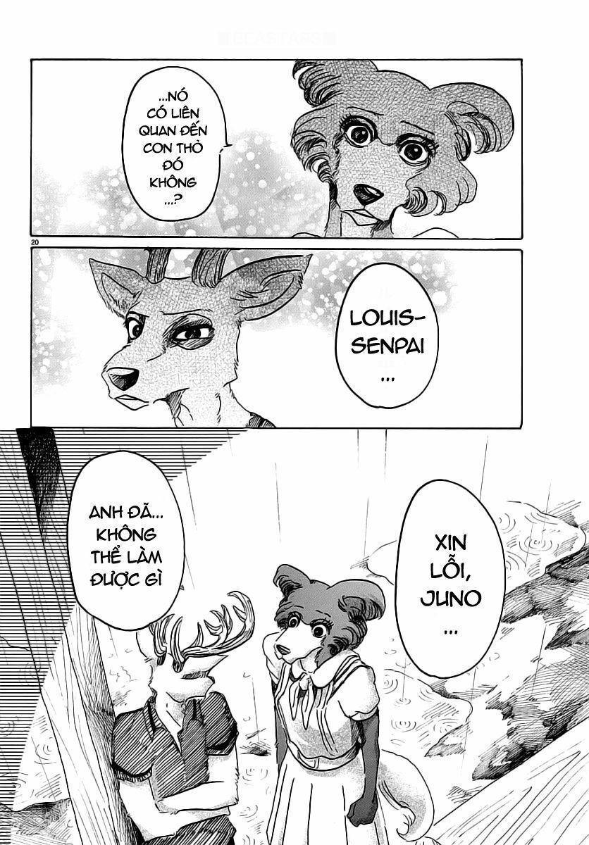 Bởi Vì Chúng Ta Đều Là Những Ngôi Sao Chapter 37 - 19