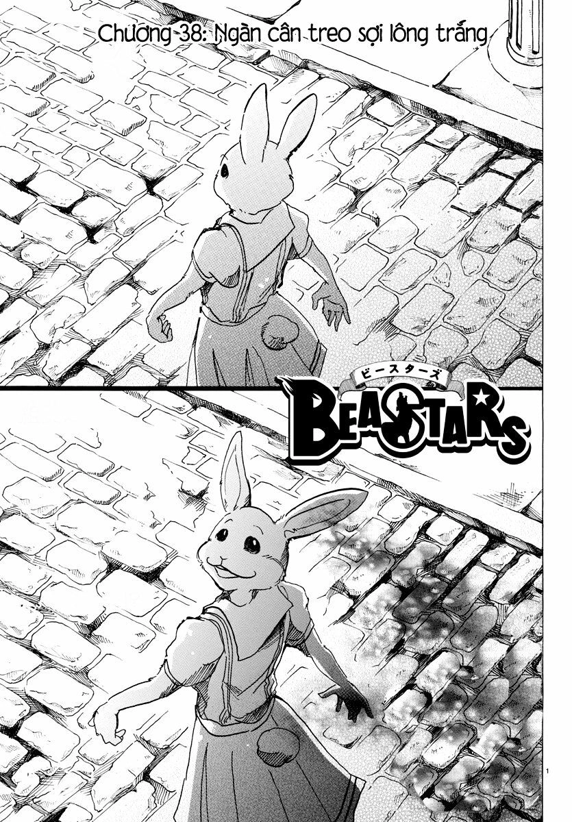 Bởi Vì Chúng Ta Đều Là Những Ngôi Sao Chapter 38 - 2