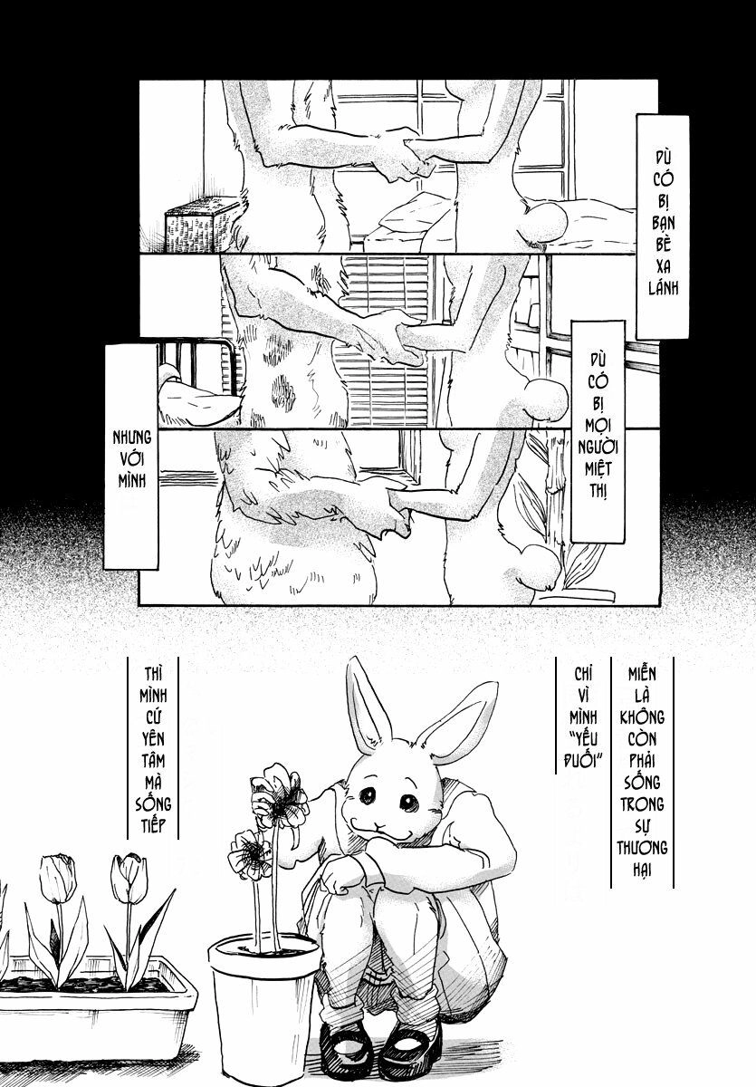 Bởi Vì Chúng Ta Đều Là Những Ngôi Sao Chapter 38 - 10