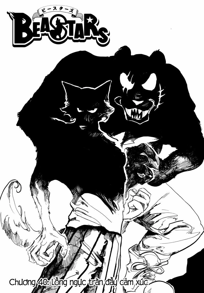 Bởi Vì Chúng Ta Đều Là Những Ngôi Sao Chapter 40 - 2