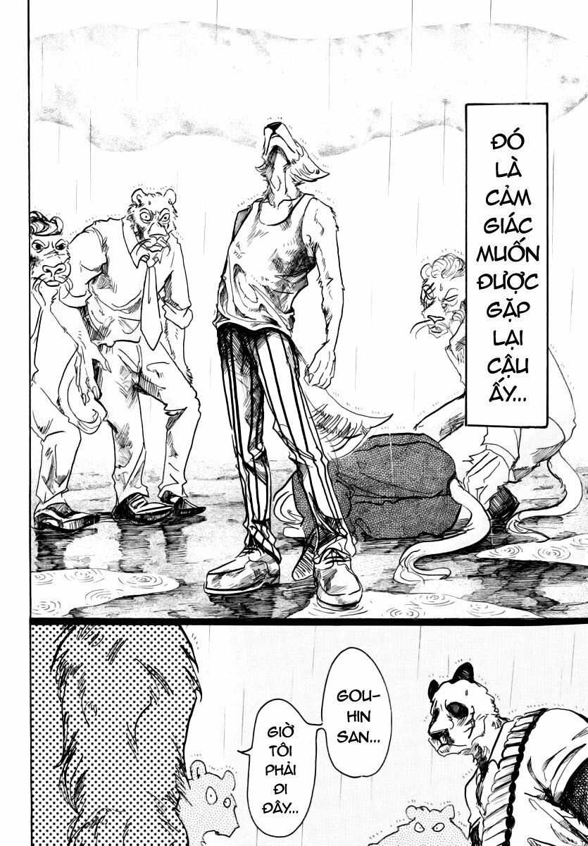 Bởi Vì Chúng Ta Đều Là Những Ngôi Sao Chapter 40 - 10