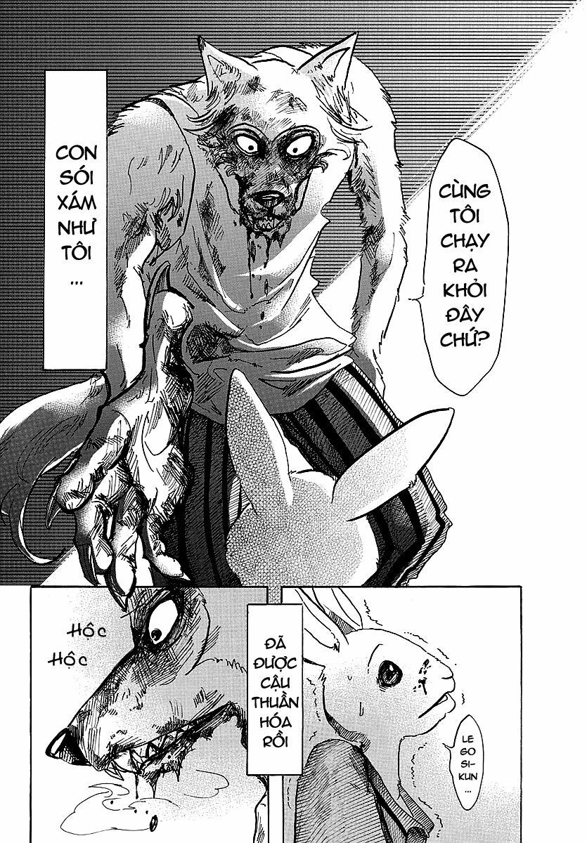 Bởi Vì Chúng Ta Đều Là Những Ngôi Sao Chapter 41 - 17