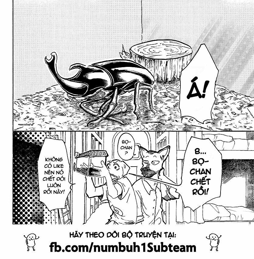 Bởi Vì Chúng Ta Đều Là Những Ngôi Sao Chapter 41 - 21