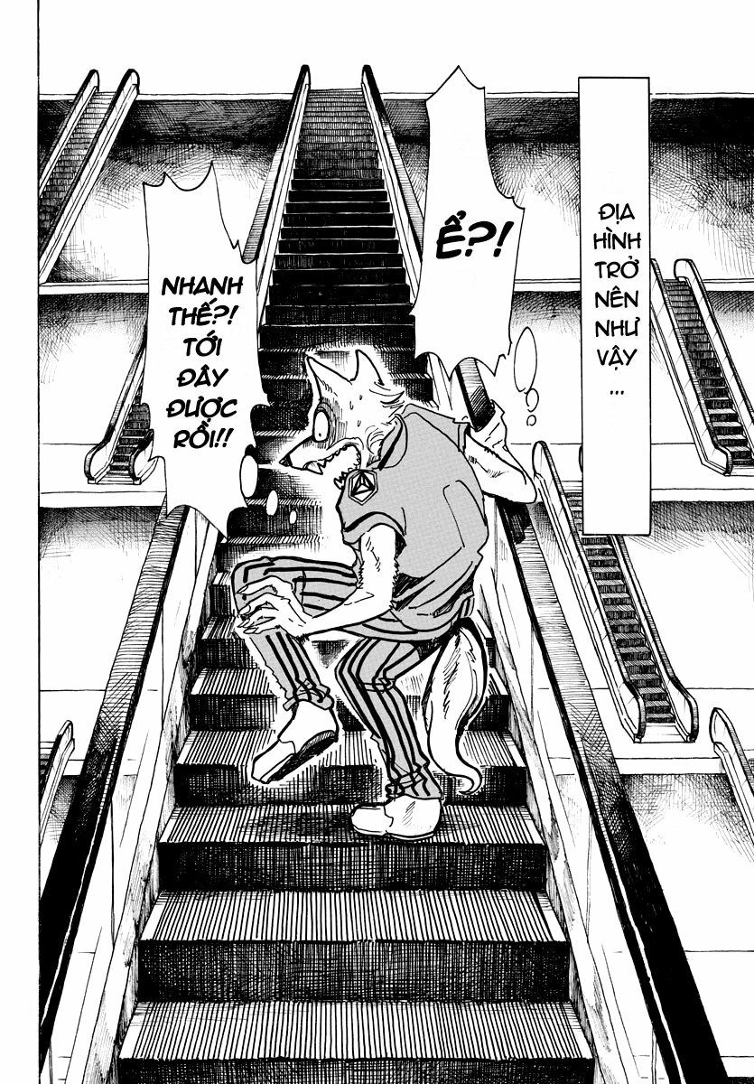 Bởi Vì Chúng Ta Đều Là Những Ngôi Sao Chapter 43 - 10